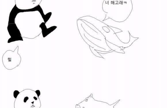 동물이름대화 ㅋㅋㅋㅋ 아 빵빵 터진다 ㅋㅋㅋ