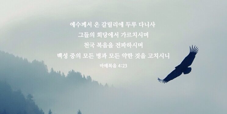 2014 연절