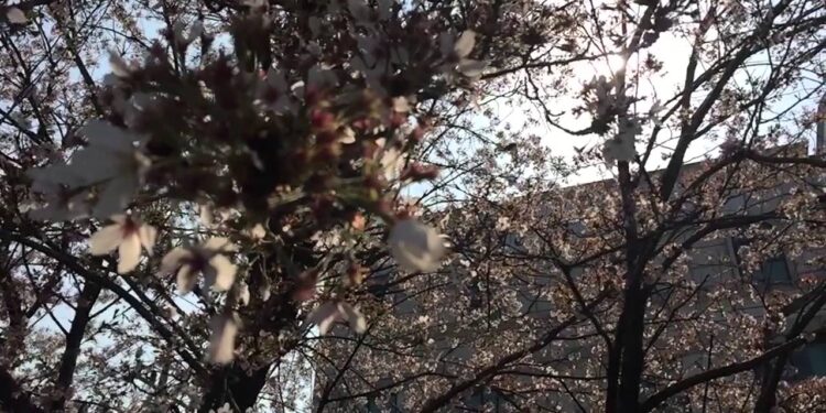 세월호 희생자 추모 1주기..